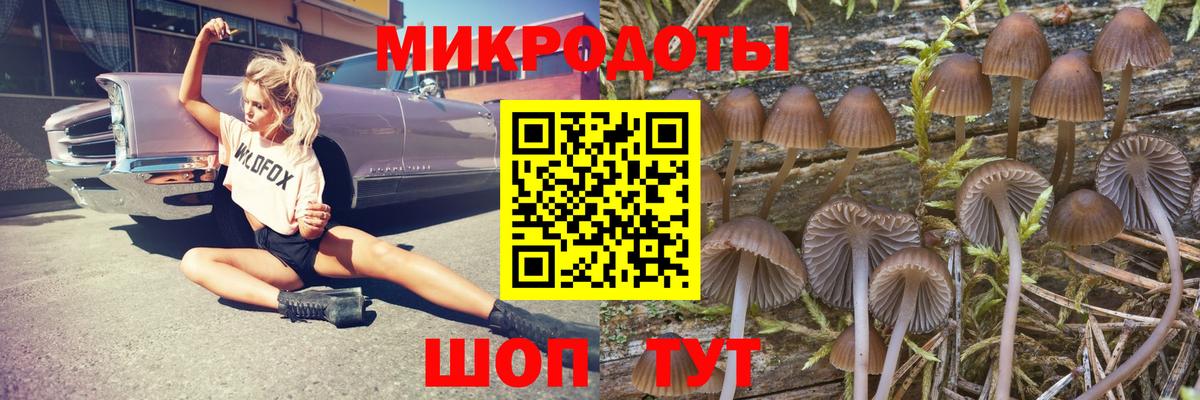 Псилоцибиновые грибы Psilocybine cubensis  купить  сайты  Губкинский  Вход с VPN 